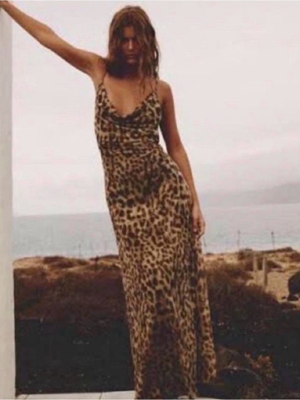 Zara Leopard-Print Slip Maxi Dress - Tan & Black